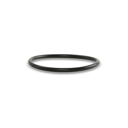 Check Valve O-ring (94K)-Pump Parts-AccuStream-AccuStream