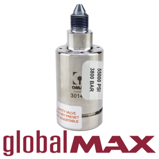 GlobalMAX safety valve assembly