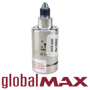 GlobalMAX safety valve assembly